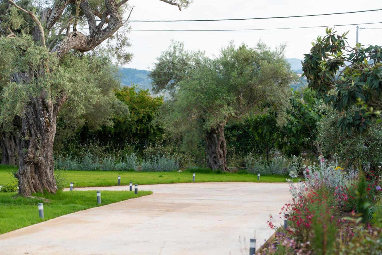 Aerinos Private Villa Lefkada City Екстер'єр фото