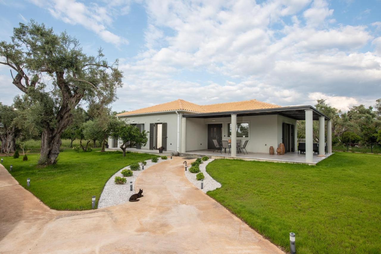 Aerinos Private Villa Lefkada City Екстер'єр фото